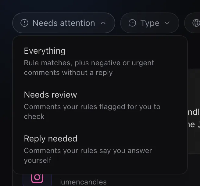 Rypl Needs attention filter open: Everything, Needs review, Reply needed